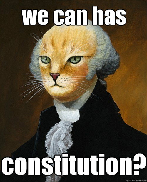 we can has constitution? - we can has constitution?  george washington cat