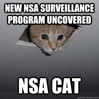 New NSA surveillance program uncovered NSA Cat  