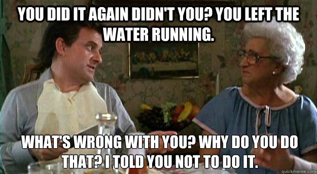 You did it again didn't you? You left the water running.  What's wrong with you? Why do you do that? I told you not to do it.   