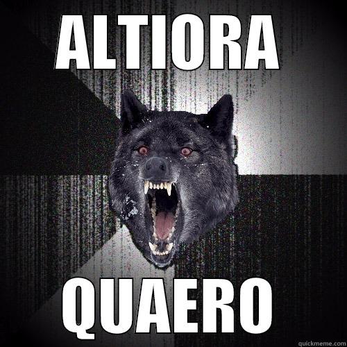 ALTIORA QUAERO Insanity Wolf
