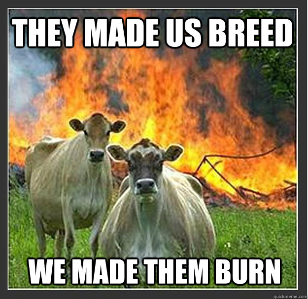 They made us breed we made them burn  Evil cows