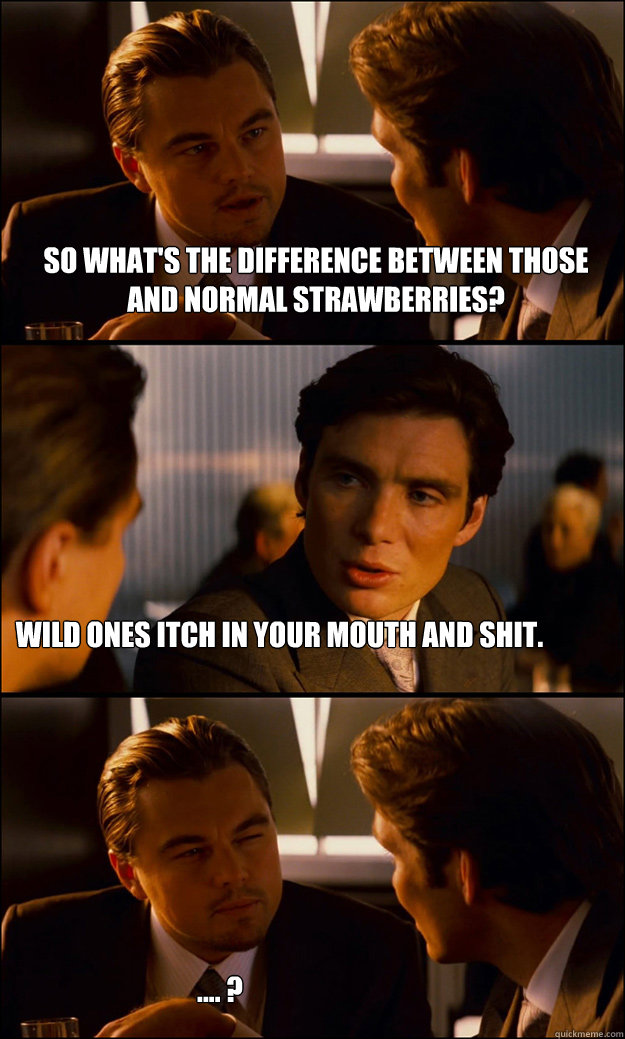 So what's the difference between those and normal strawberries? Wild ones itch in your mouth and shit. .... ?  Inception