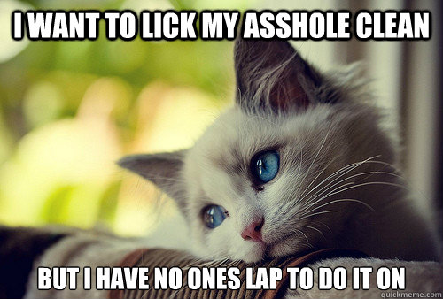 i want to lick my asshole clean but i have no ones lap to do it on - i want to lick my asshole clean but i have no ones lap to do it on  First World Cat Problems