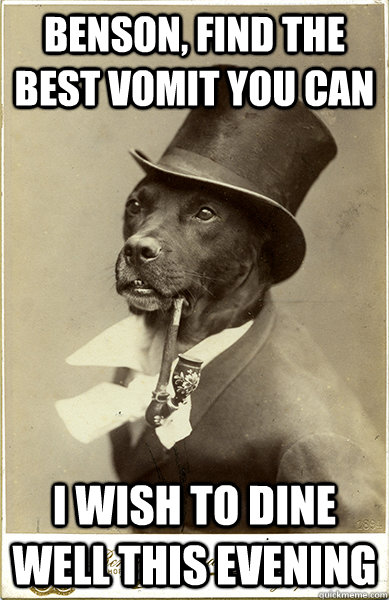 benson, find the best vomit you can i wish to dine well this evening - benson, find the best vomit you can i wish to dine well this evening  Old Money Dog