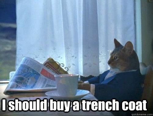  I should buy a trench coat  Rich cat is rich