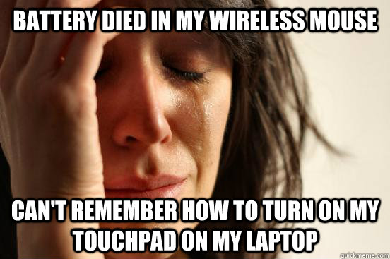 Battery died in my wireless mouse Can't remember how to turn on my touchpad on my laptop  First World Problems