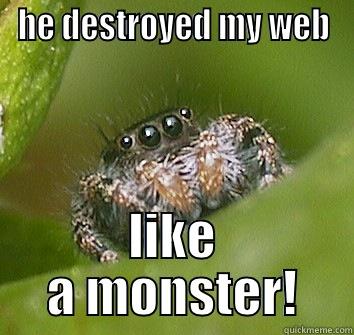 sad spider - HE DESTROYED MY WEB LIKE A MONSTER! Misunderstood Spider