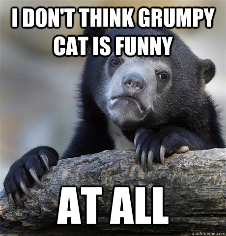 I don't think Grumpy Cat is funny At all  Confession Bear