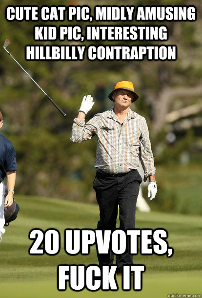 cute cat pic, midly amusing kid pic, interesting hillbilly contraption 20 upvotes, fuck it  fuck it bill murray