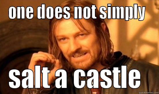 ONE DOES NOT SIMPLY  SALT A CASTLE  Boromir