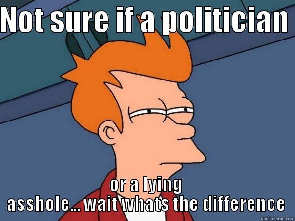 NOT SURE IF A POLITICIAN  OR A LYING ASSHOLE... WAIT WHATS THE DIFFERENCE Futurama Fry