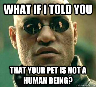 what if i told you that your pet is not a human being?  Matrix Morpheus