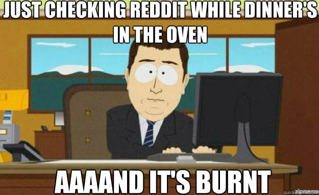 Just checking reddit while dinner's in the oven AAAAND IT'S Burnt  aaaand its gone