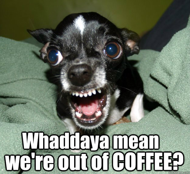 Whaddaya mean we're out of COFFEE?  Chihuahua Logic