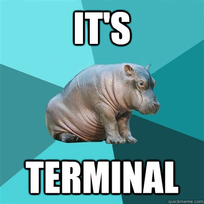 IT'S TERMINAL  Hypochondriac Hippo