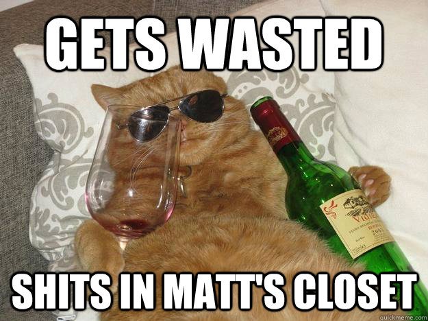 Gets wasted shits in matt's closet  Party Cat