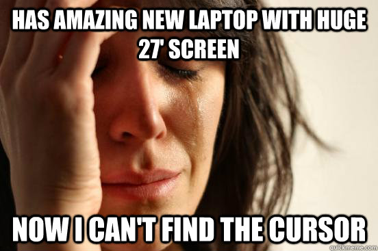 HAS AMAZING NEW LAPTOP WITH HUGE 27' SCREEN NOW I CAN'T FIND THE CURSOR  First World Problems