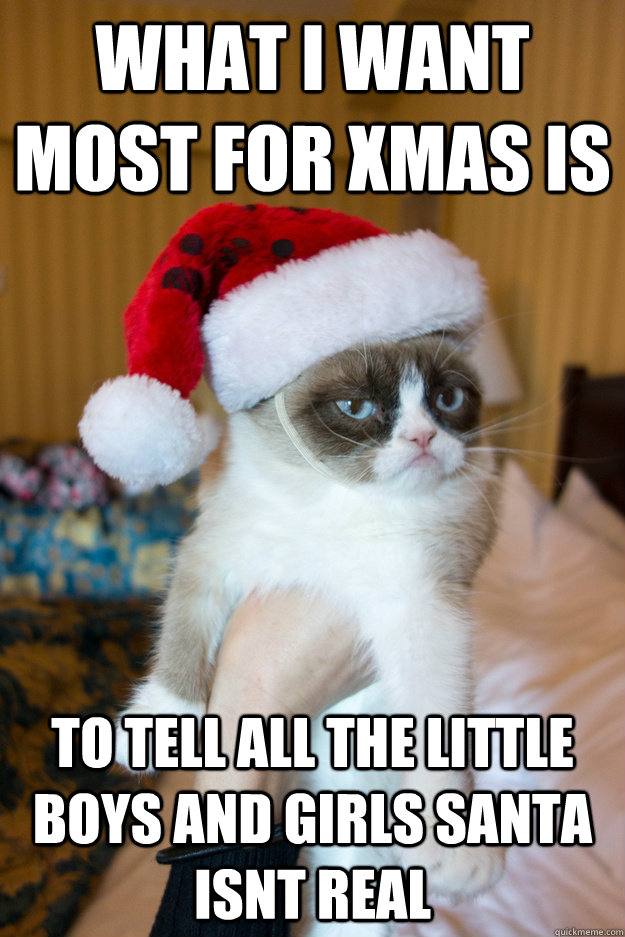 what i want most for xmas is to tell all the little boys and girls santa isnt real  Grumpy xmas