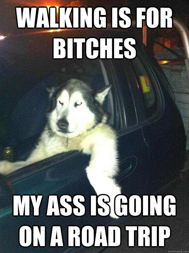 walking is for bitches my ass is going on a road trip  Mean Dog
