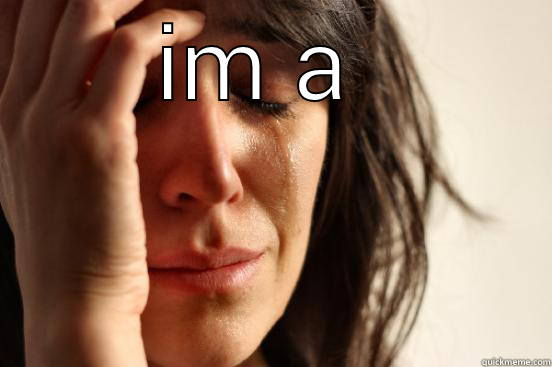 IM A GANGSTER  First World Problems