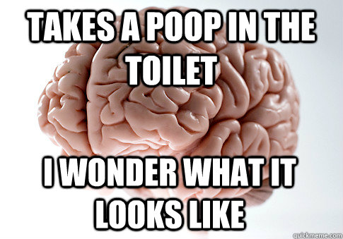 Takes a poop in the toilet  I wonder what it looks like  - Takes a poop in the toilet  I wonder what it looks like   Scumbag Brain