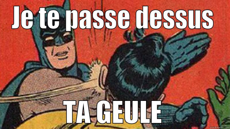 JE TE PASSE DESSUS TA GEULE Misc