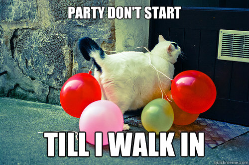 Party don't start Till I walk in  cat party