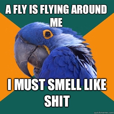 A FLY IS FLYING AROUND ME I MUST SMELL LIKE SHIT  Paranoid Parrot
