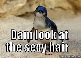  DAM LOOK AT THE SEXY HAIR   Misc