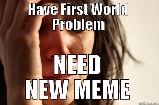 HAVE FIRST WORLD PROBLEM NEED NEW MEME First World Problems