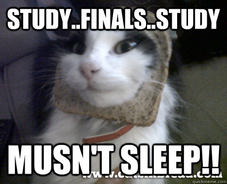 Study..Finals..Study Musn't sleep!! - Study..Finals..Study Musn't sleep!!  Misc