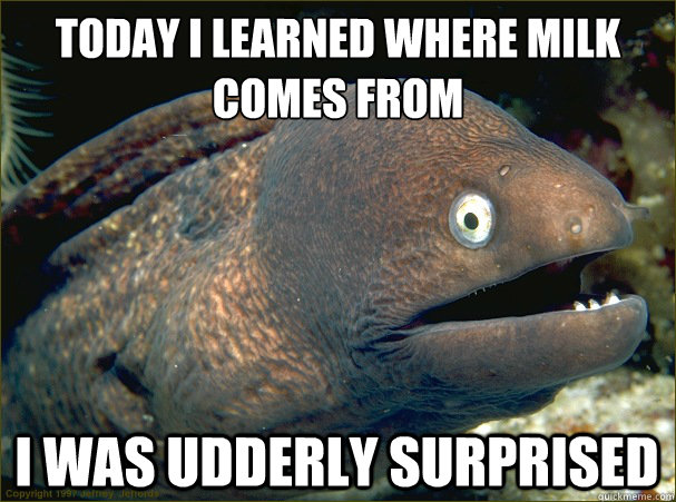 Today I learned where milk comes from
 I was Udderly surprised - Today I learned where milk comes from
 I was Udderly surprised  Bad Joke Eel