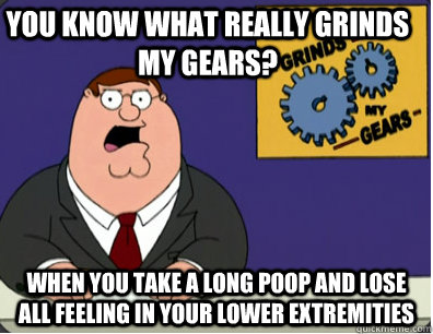 you know what really grinds my gears? when you take a long poop and lose all feeling in your lower extremities  Family Guy Grinds My Gears