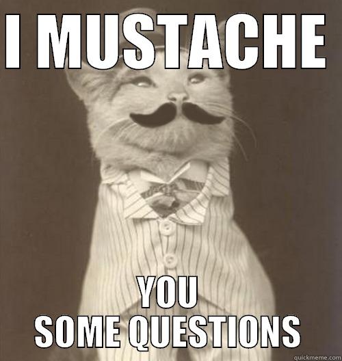 im making this for uni - I MUSTACHE  YOU SOME QUESTIONS Original Business Cat