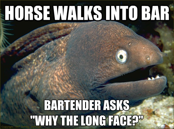 horse walks into bar Bartender asks

