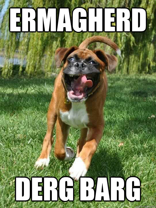 ermagherd derg barg - ermagherd derg barg  Misc