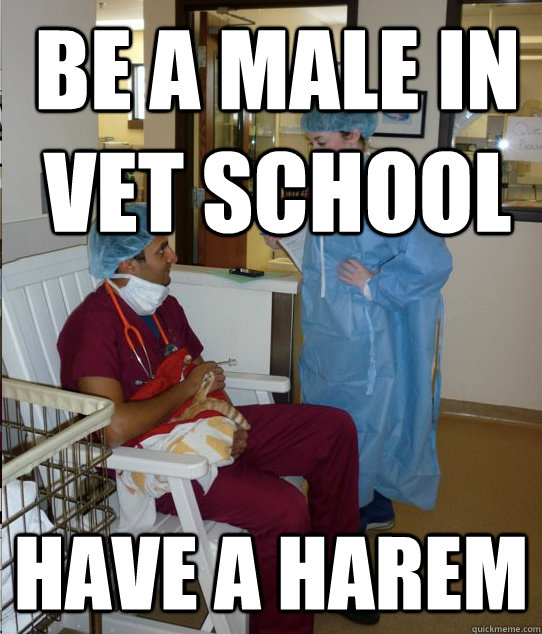 BE A MALE IN VET SCHOOL  Have a Harem  - BE A MALE IN VET SCHOOL  Have a Harem   Overworked Veterinary Student
