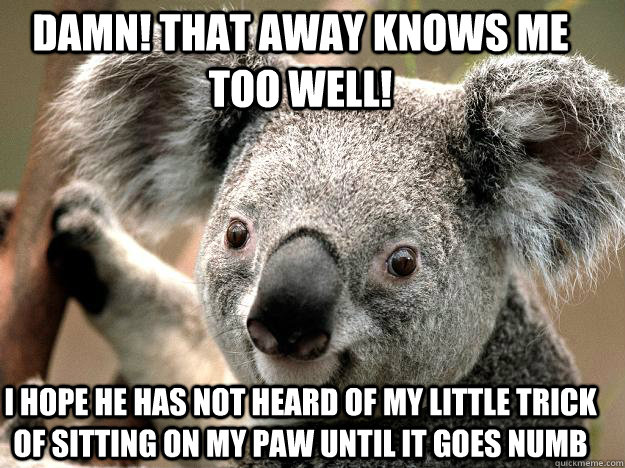 damn! that away knows me too well! i hope he has not heard of my little trick of sitting on my paw until it goes numb - damn! that away knows me too well! i hope he has not heard of my little trick of sitting on my paw until it goes numb  Evil Koala Bear