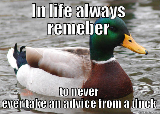 IN LIFE ALWAYS REMEBER TO NEVER EVER TAKE AN ADVICE FROM A DUCK Actual Advice Mallard
