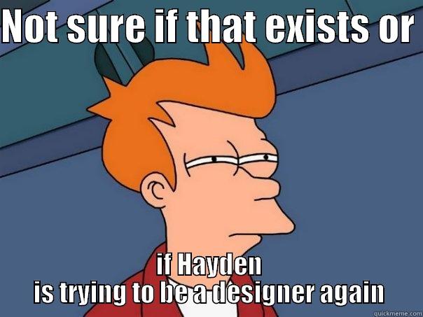 NOT SURE IF THAT EXISTS OR  IF HAYDEN IS TRYING TO BE A DESIGNER AGAIN Futurama Fry