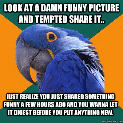 Look at a damn funny picture and tempted share it.. Just realize you just shared something funny a few hours ago and you wanna let it digest before you put anything new.  - Look at a damn funny picture and tempted share it.. Just realize you just shared something funny a few hours ago and you wanna let it digest before you put anything new.   Paranoid Parrot