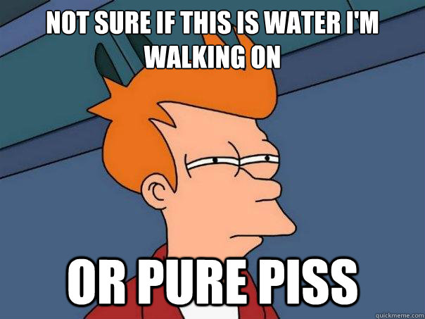 Not sure if this is water I'm walking on Or pure piss  Futurama Fry