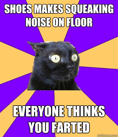 shoes makes squeaking noise on floor everyone thinks you farted  Anxiety Cat