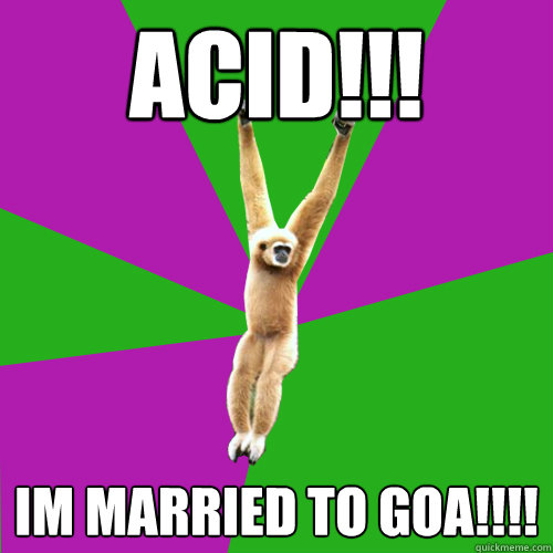 ACID!!! IM MARRIED TO GOA!!!!  Over-used quote gibbon