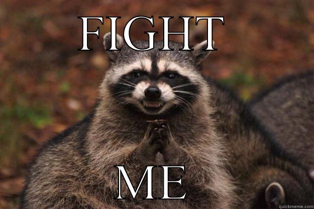 Raccoon fight me - FIGHT ME Evil Plotting Raccoon