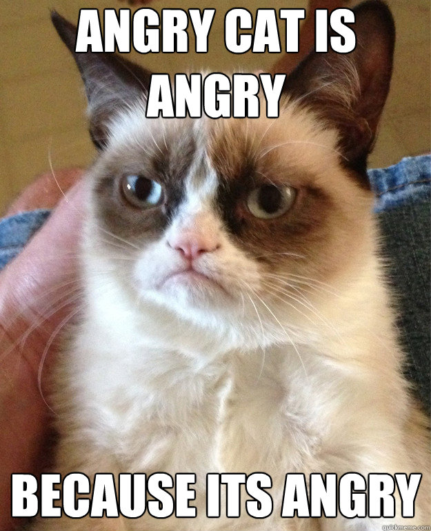 Angry cat is angry because its angry  Grumpy Cat