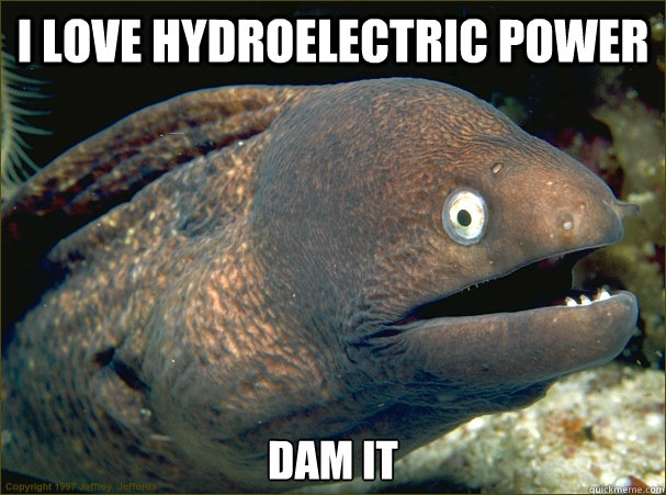 i love hydroelectric power Dam it - i love hydroelectric power Dam it  Bad Joke Eel