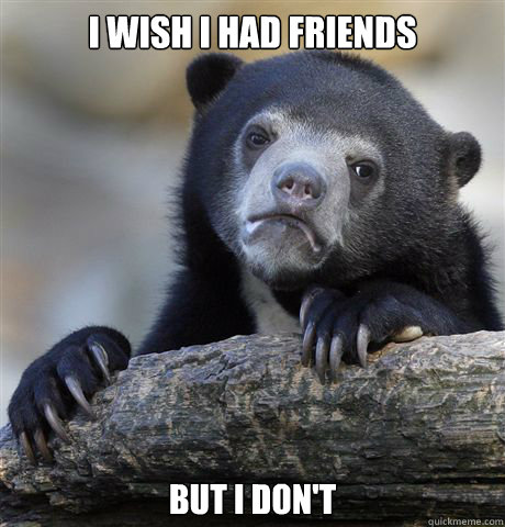 I wish i had friends but i don't  Confession Bear