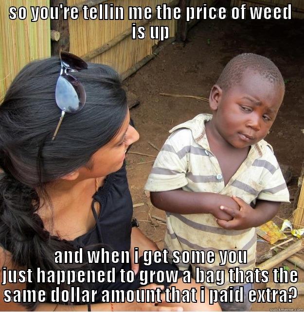 SO YOU'RE TELLIN ME THE PRICE OF WEED IS UP AND WHEN I GET SOME YOU JUST HAPPENED TO GROW A BAG THATS THE SAME DOLLAR AMOUNT THAT I PAID EXTRA? Skeptical Third World Kid