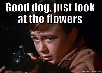 Walking Old Yeller - GOOD DOG, JUST LOOK AT THE FLOWERS  Misc